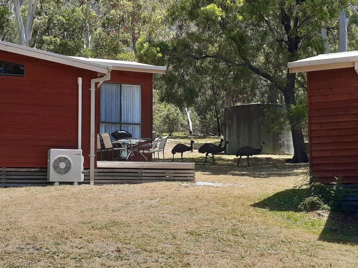 Wonderland Cottages ฮอลส์แกป ภายนอก รูปภาพ